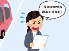 买了安全统筹100万 出了交通事故，统筹公司赔不赔？